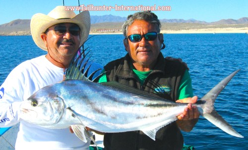 PEZ GALLO ESTEBAN Rooster tags LAS ARENAS 002