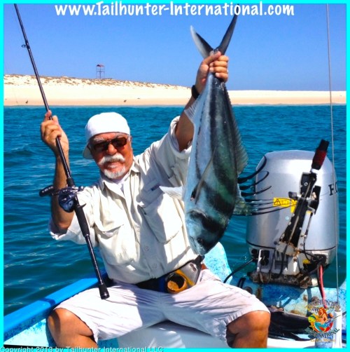 rooster al rodriguez 5-13 tags