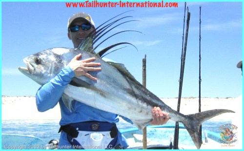 Rooster Dover tags 4-13