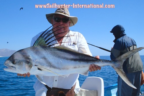 rooster JP tags 5-13 two