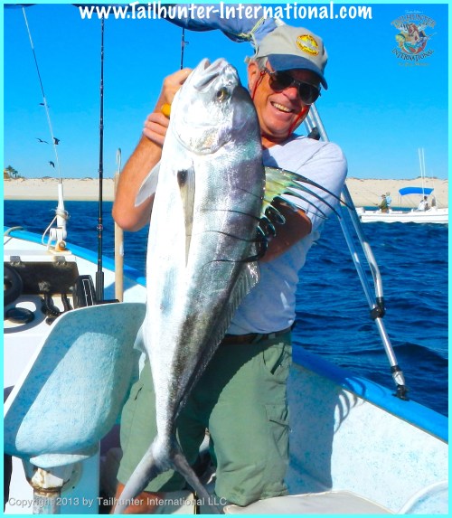 rooster ken fritz tags 5-13