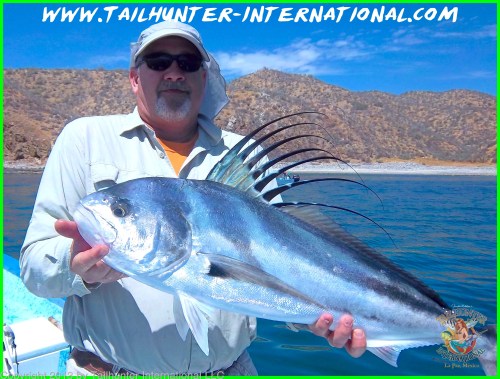 rooster randy choate tags 5-13