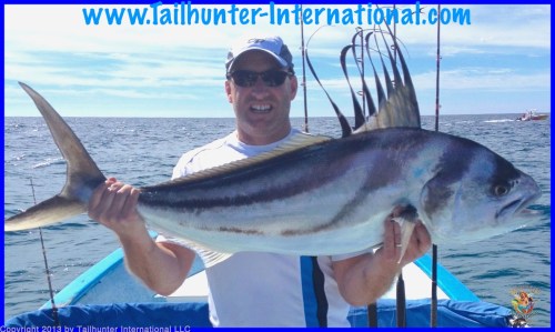 rooster scott Mcguire 5-14 tags