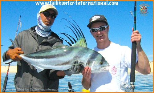 roosterfish tags 1 5-13