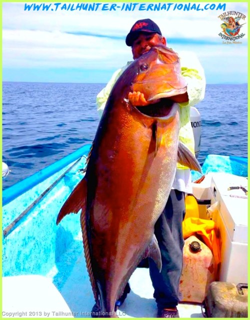 tag Amberjack Kevin Shiotan & Rick Hosmer Las Arenas.-proc-proc