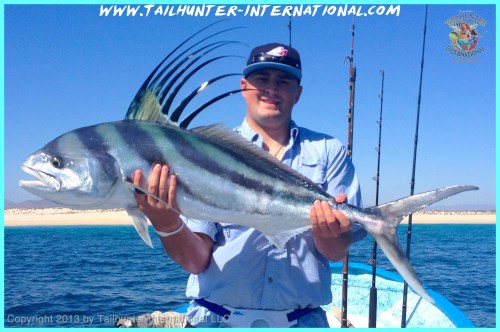 Tyler ehlers 5-13 rooster tags