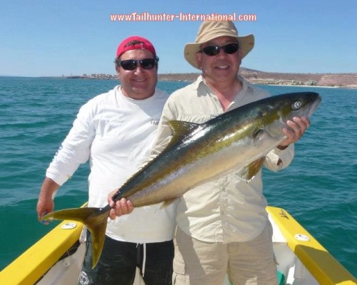 Wayne yellowtail tags