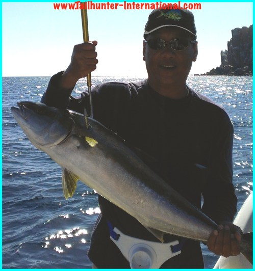 yellowtail kevin chang tags 5-13