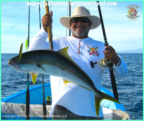 yellowtail tags jorge 5-13