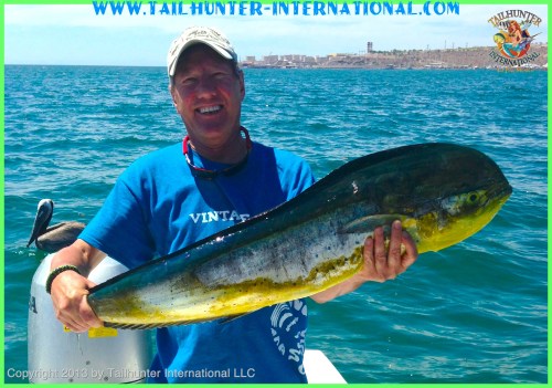 ziggy dorado 5-13 tags