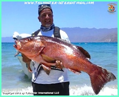 burgess dog tooth pargo tagsd 6-13