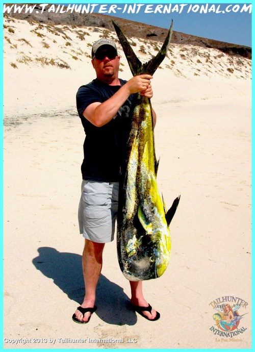 Charlie dorado tags 6-13