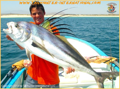 Cole tags rooster 6-13