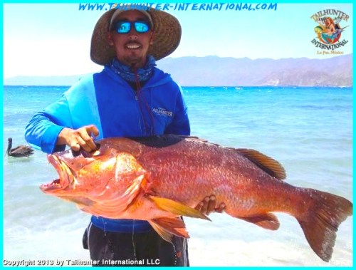 dog tooth pancho tags 6-13