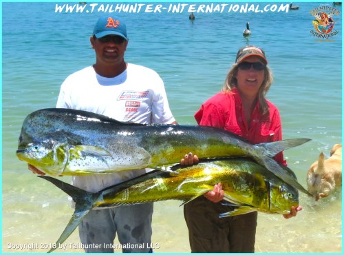 dorado armando shelly tags 6-13