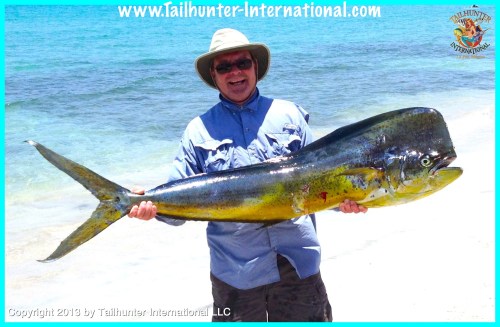 dorado Bob Benjamin  tags 6-13