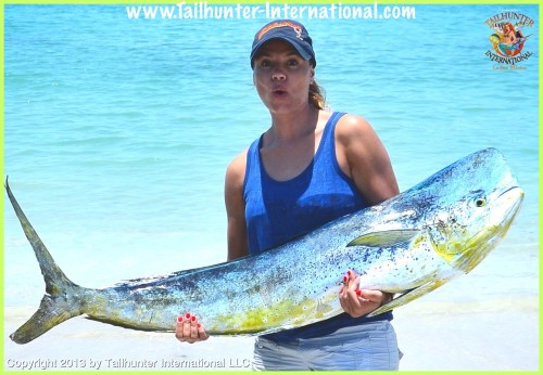 dorado Jo Biddle tags 7-13