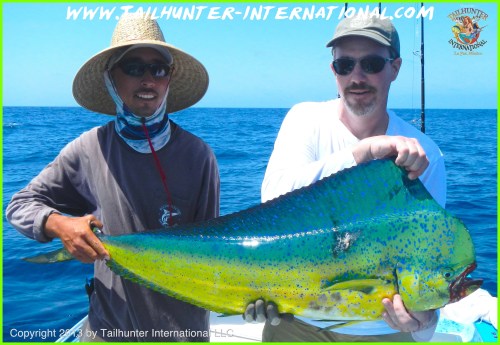 dorado john gothi tags 6-3