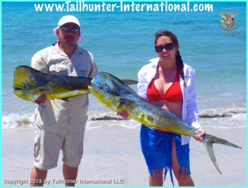 dorado jonathan nina tags 6-13