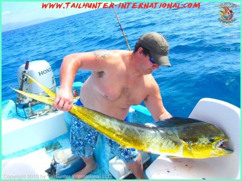 dorado juan santana tags 6-13