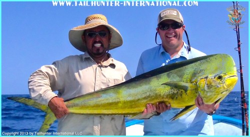 dorado luke brownlee tags 6-13