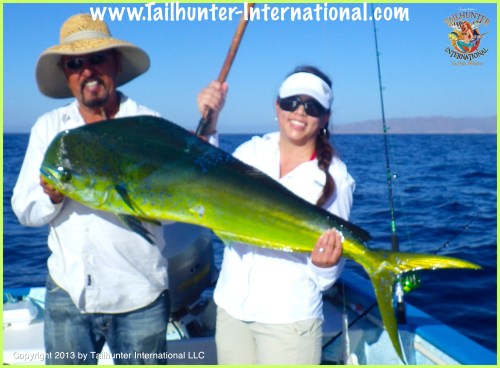 dorado nina duc le tags 6-13