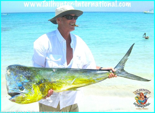 dorado xavier lerch tags 6-13