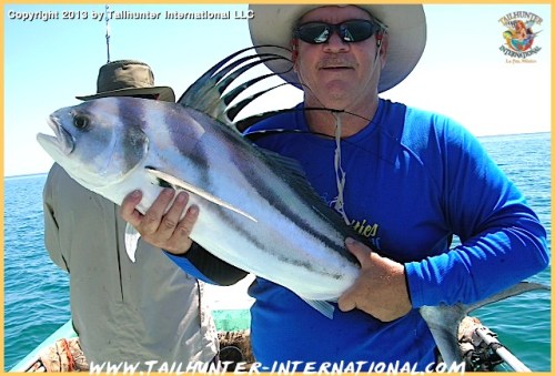 Fred sawaske tags rooster 6-13