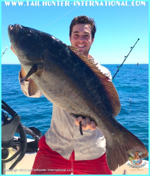 grouper Deryck Matallah 6-13 tags