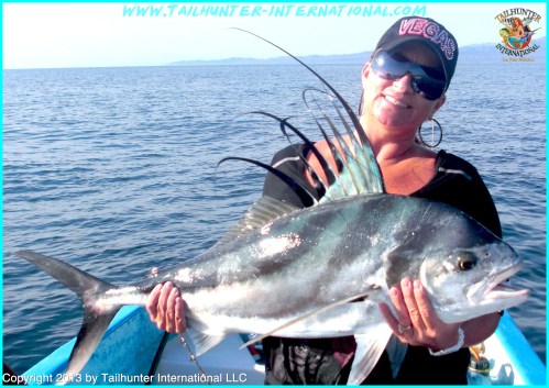 Herrera rooster 6-13 tags