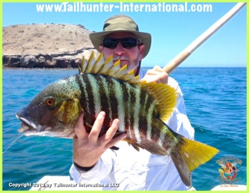 Jack Sawaske barred pargo 6-13 tags