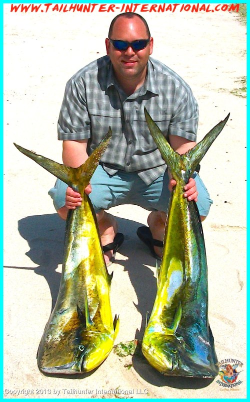 Jason Takayoshi tags dorado 6-13