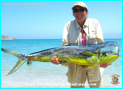 Jeannine Stenzel dorado tags 6-13