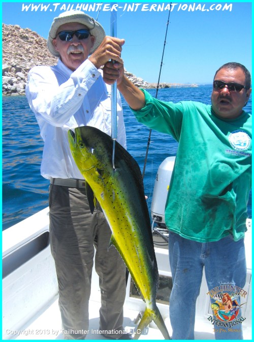 Jerry Pederson dorado Boli 6-13 tags