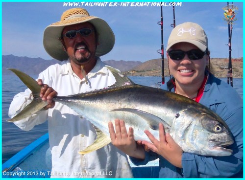 Kris jack crevalle tags 6-13