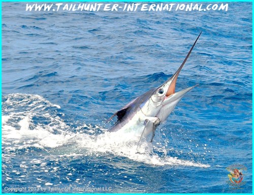 marlin tags 5-13