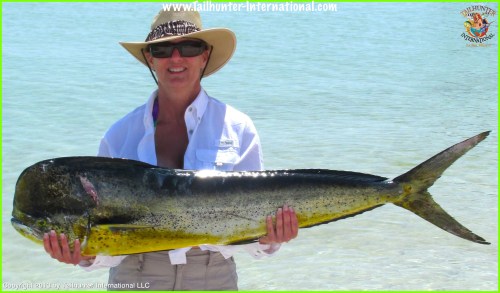 McCLELLAND marie tags dorado 6-13