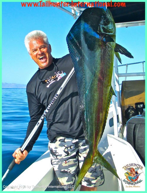 mitch chavira tags 6-13 dorado