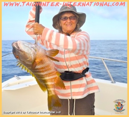 pargo donna thompson tags 6-13