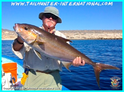 Richard amber 6-13 tags