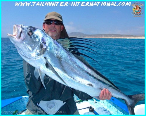 Rooster Bryan 6-13 tags dannetelle