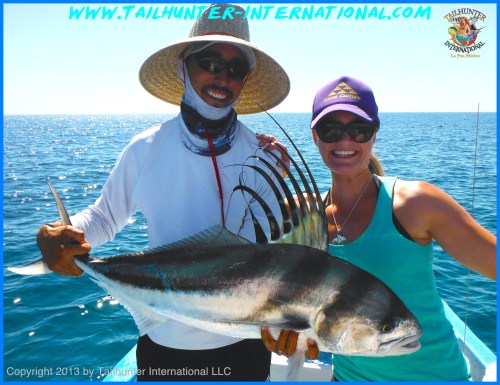 rooster dorene dannettelle 6-13 tags