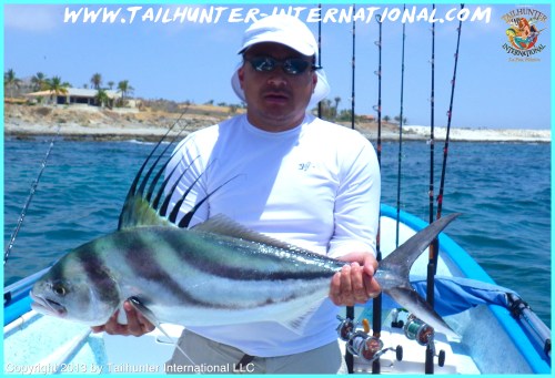 rooster duc le tags 6-13