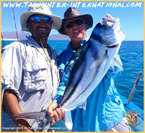 rooster randy yofo 6-13 tags