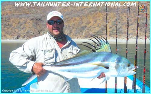 rooster ty mitchell tags 6-13