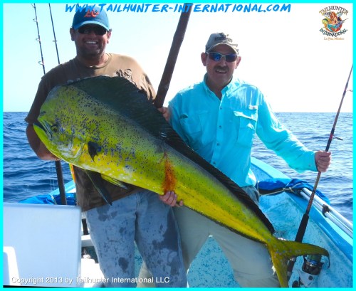 Sherman McDonell tags dorado 6-13