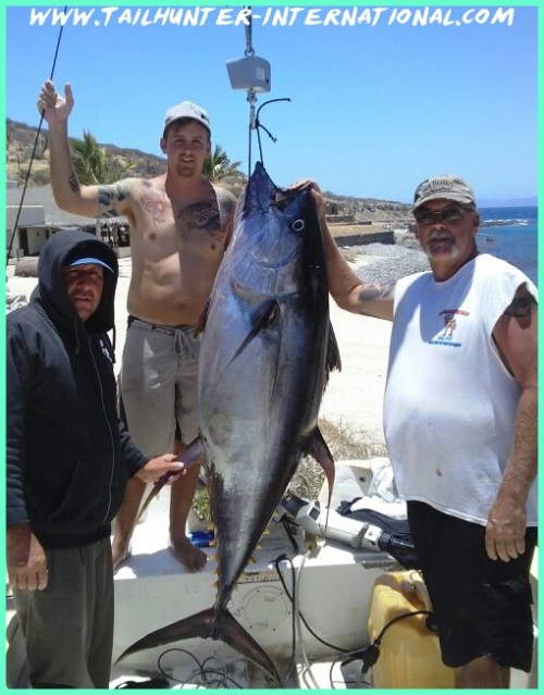 tuna grande tags 6-13