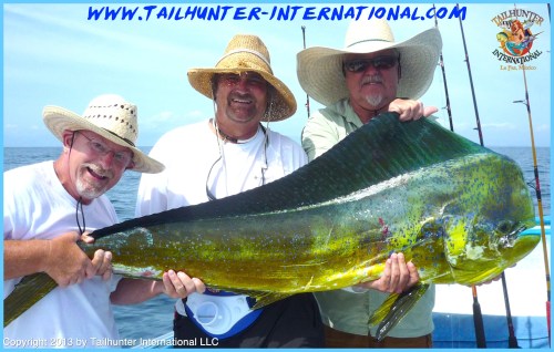 Allen Clarence Josh dorado big tags 7-13