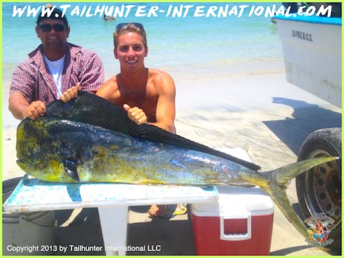 big dorado will klem 7-13 tags mini