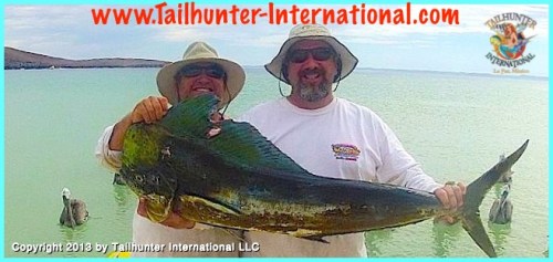 DAne Fuller dorado big 7-13 tags